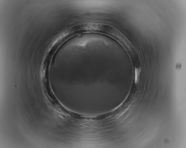 X0000100370723200806061155
