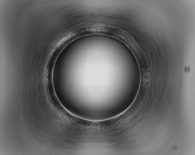 X0000100370727200806061155