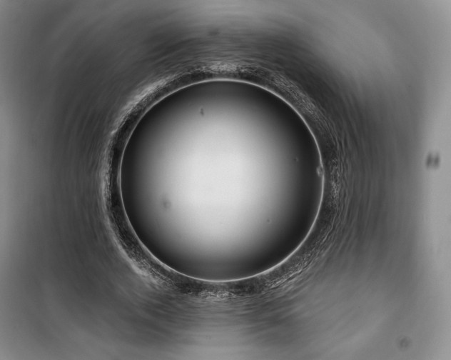 X0000100370728200806061155
