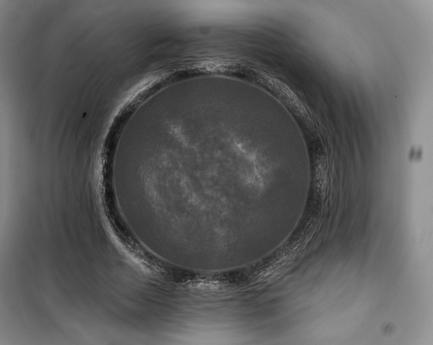 X0000100370730200806061155