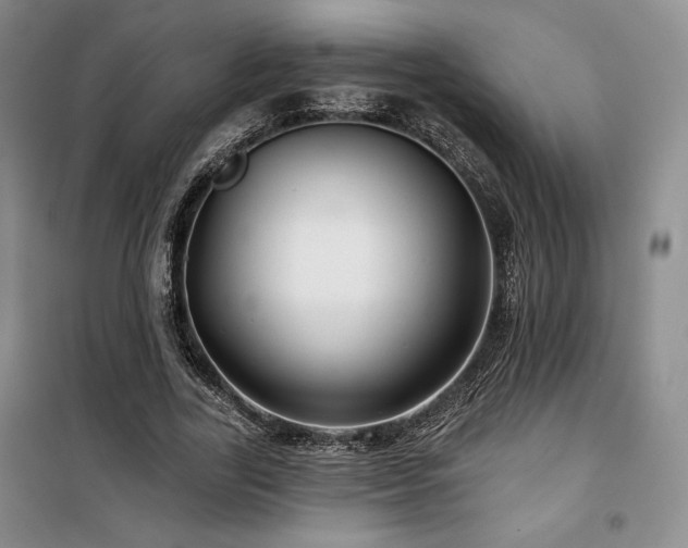 X0000100370731200806061155