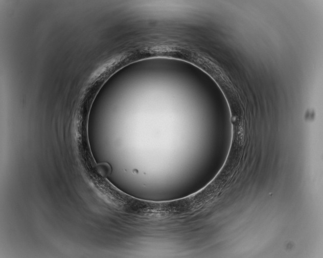 X0000100370732200806061155