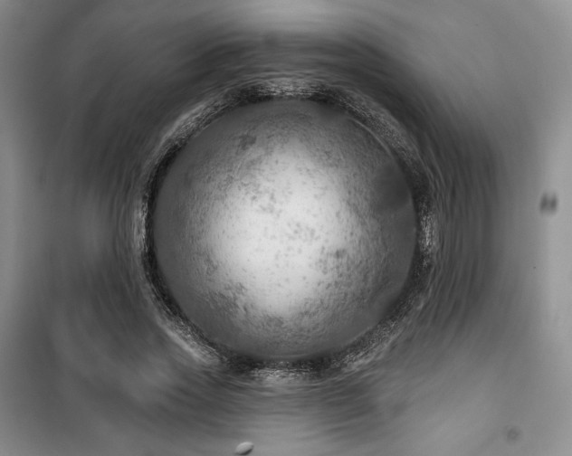 X0000100370733200806061155