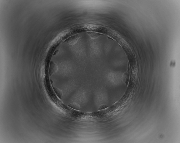 X0000100370734200806061155