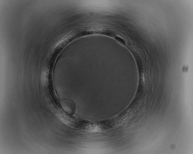 X0000100370735200806061155