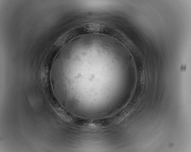 X0000100370737200806061155