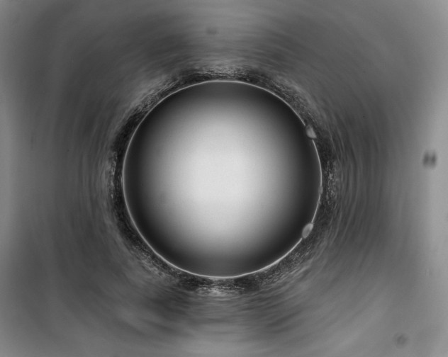 X0000100370739200806061155
