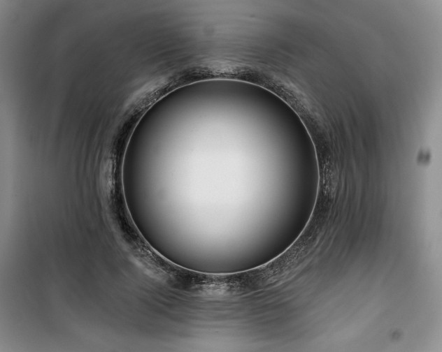 X0000100370740200806061155