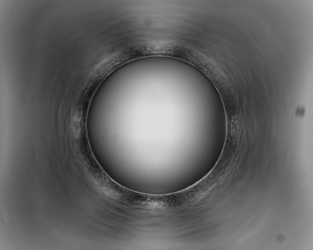 X0000100370741200806061155
