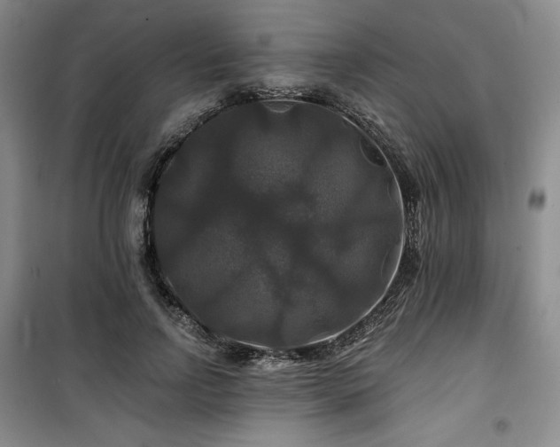 X0000100370742200806061155