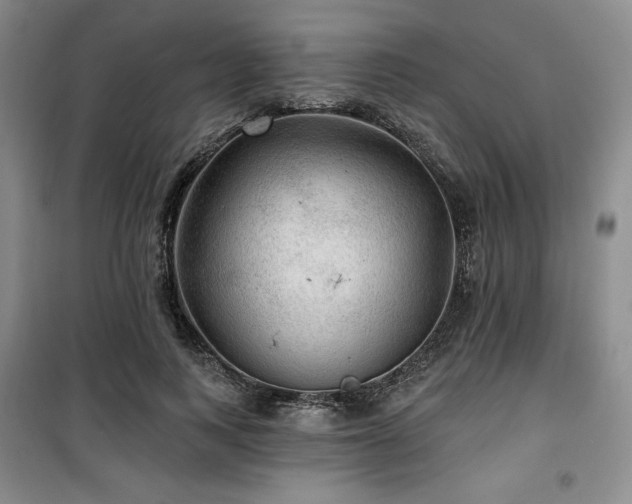 X0000100370743200806061155