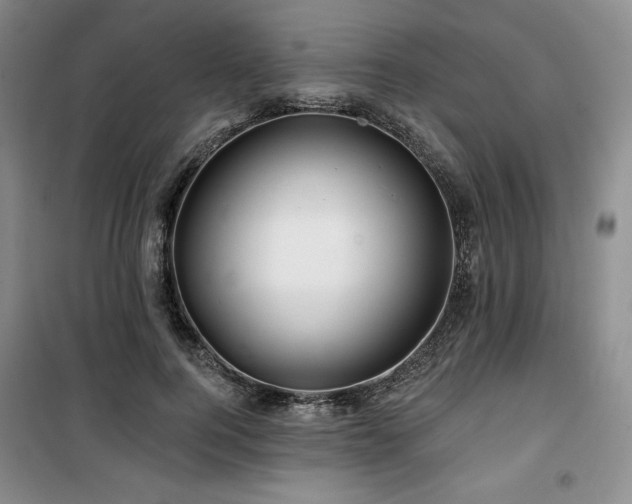 X0000100370744200806061155