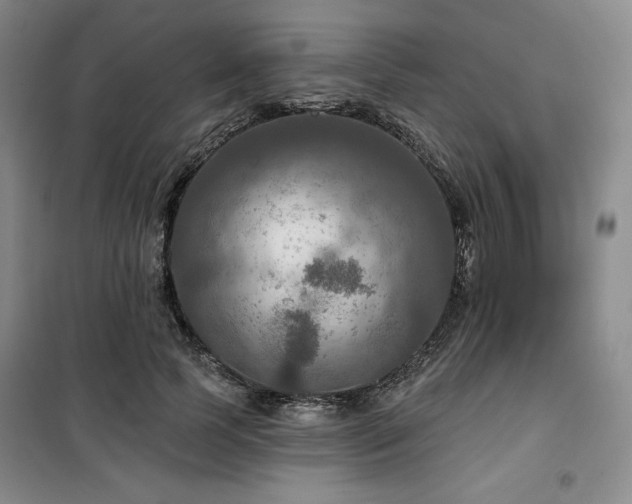 X0000100370745200806061155