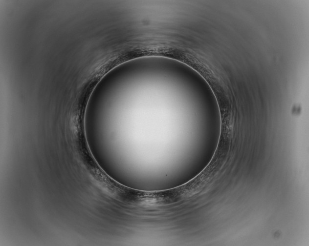 X0000100370746200806061155