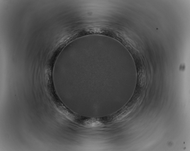 X0000100370747200806061155