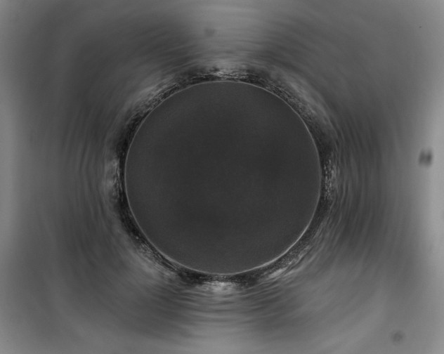 X0000100370748200806061155