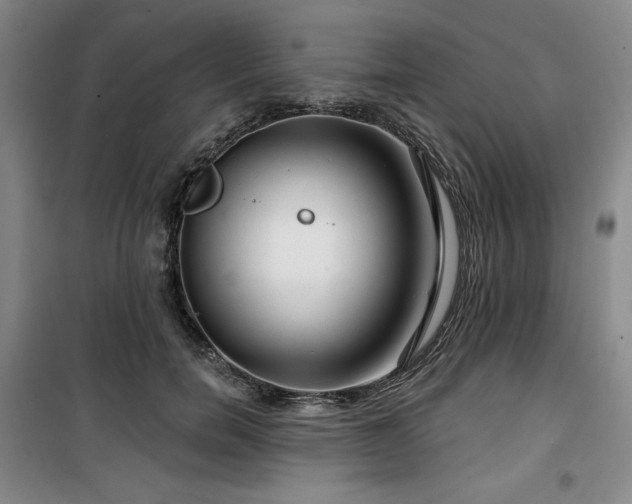 X0000100370750200806061155