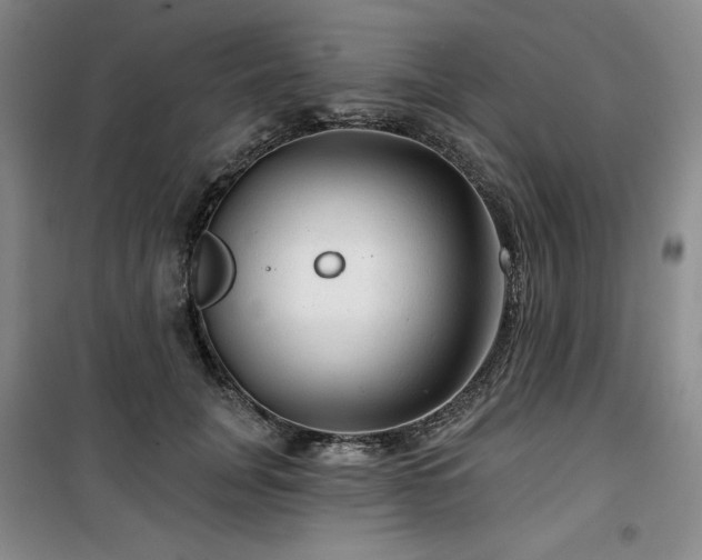 X0000100370751200806061155
