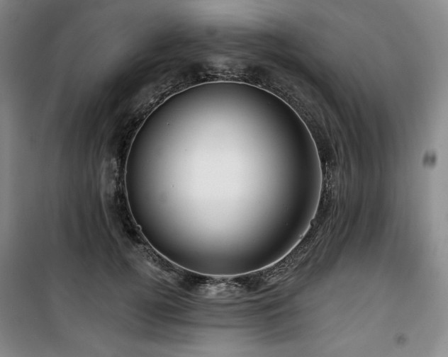 X0000100370752200806061155