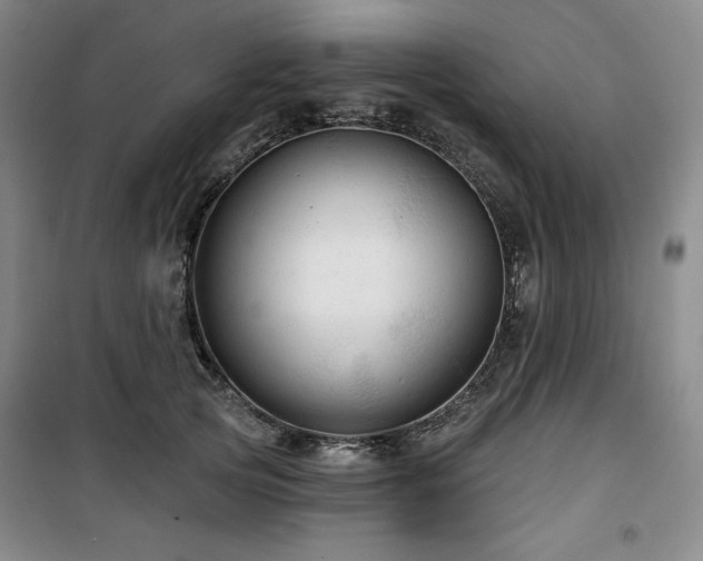 X0000100370753200806061155
