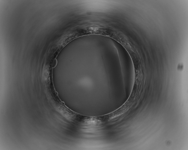 X0000100370754200806061155