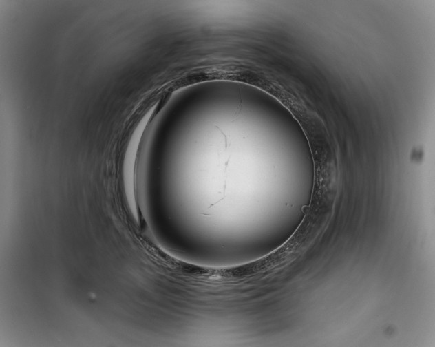 X0000100370755200806061155