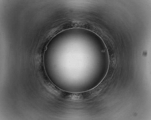 X0000100370756200806061155