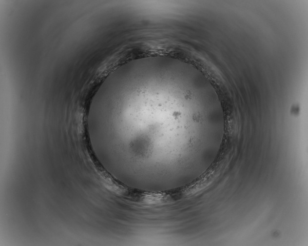 X0000100370757200806061155