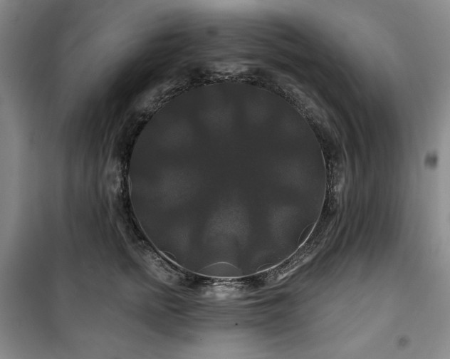 X0000100370758200806061155