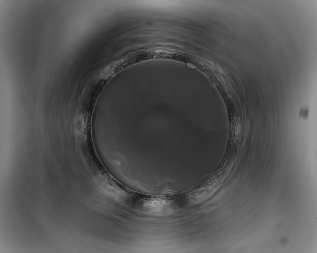 X0000100370759200806061155