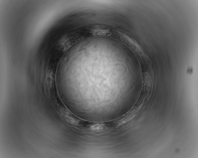 X0000100370761200806061155