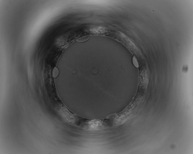 X0000100370762200806061155
