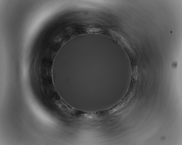 X0000100370763200806061155