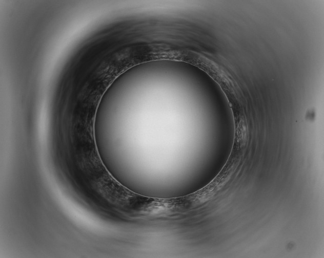 X0000100370764200806061155