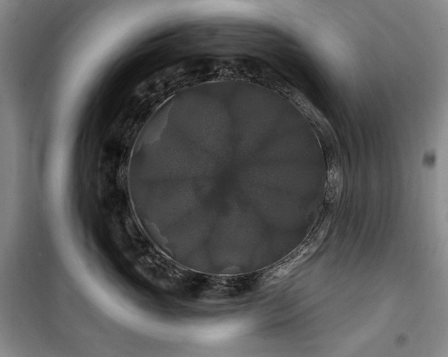 X0000100370765200806061155