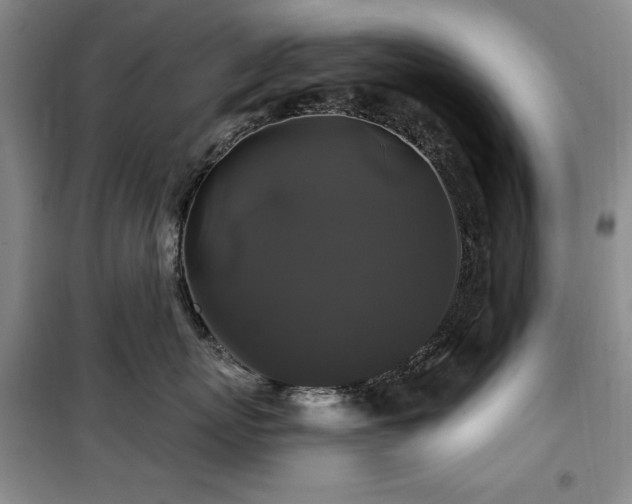 X0000100370767200806061155