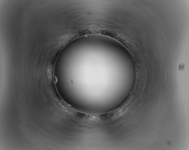 X0000100370768200806061155