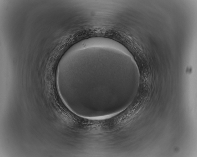 X0000100370769200806061154