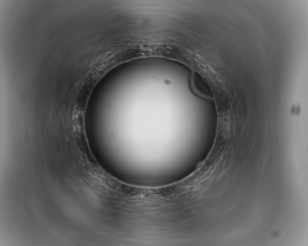 X0000100370770200806061154