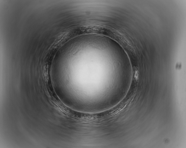 X0000100370771200806061154