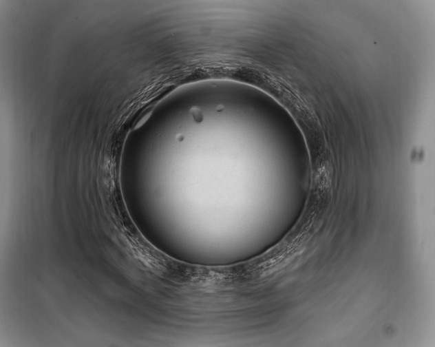 X0000100370772200806061154