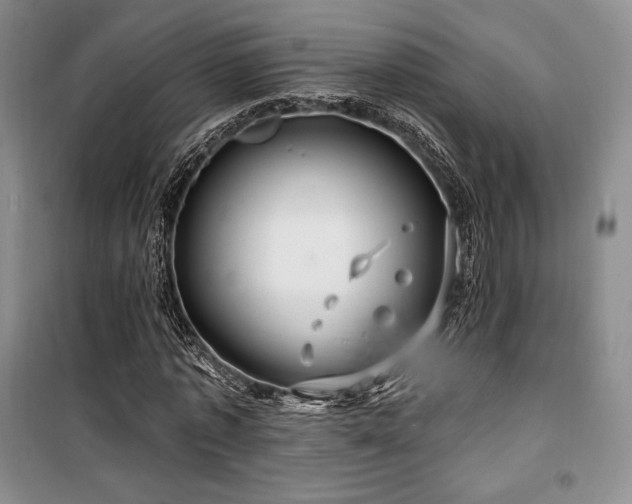 X0000100370773200806061154