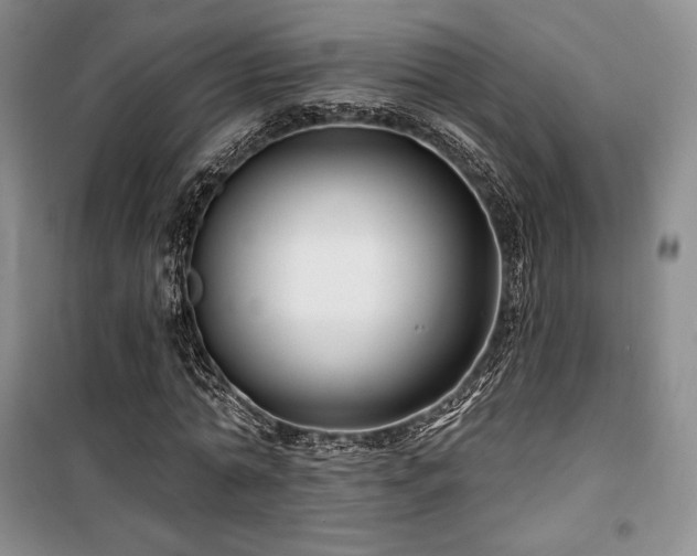 X0000100370774200806061154