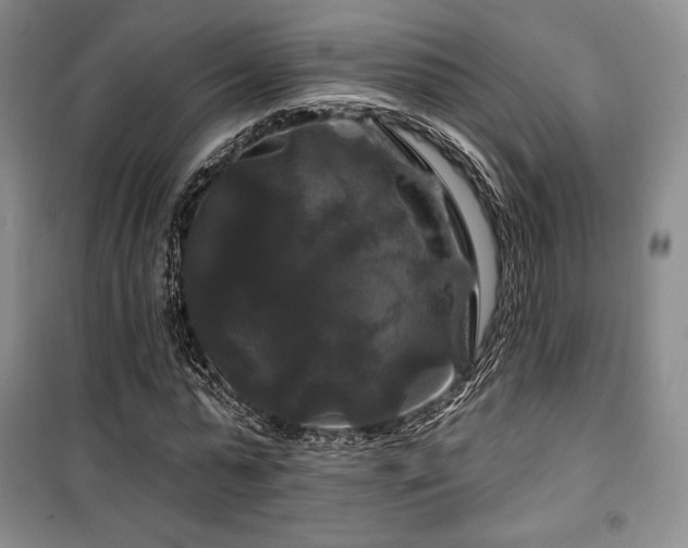 X0000100370775200806061154
