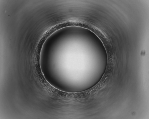 X0000100370776200806061154