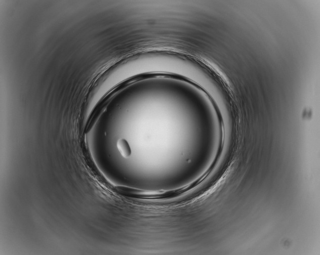 X0000100370777200806061154