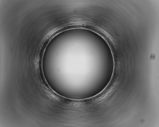 X0000100370778200806061154
