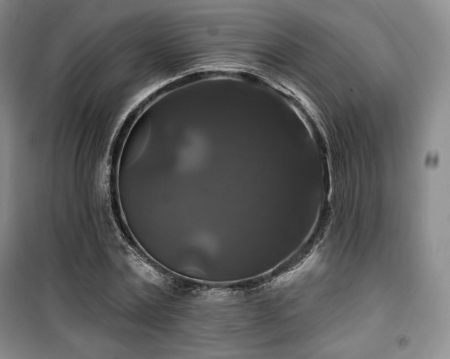 X0000100370779200806061154