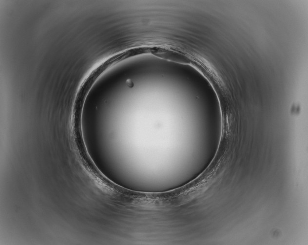 X0000100370780200806061154