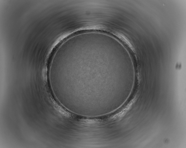 X0000100370781200806061154